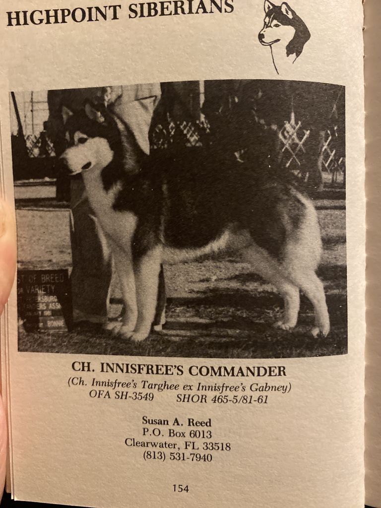 Photo of Innisfree’s Commander