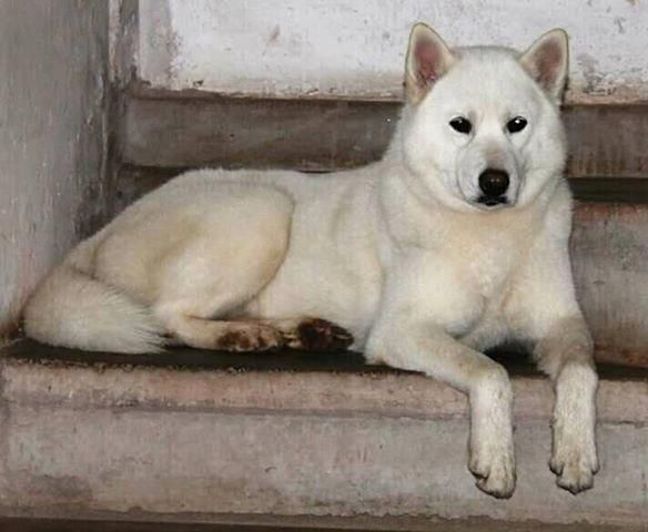 Photo of KIARASNOW WHITE MARPIYAWIN