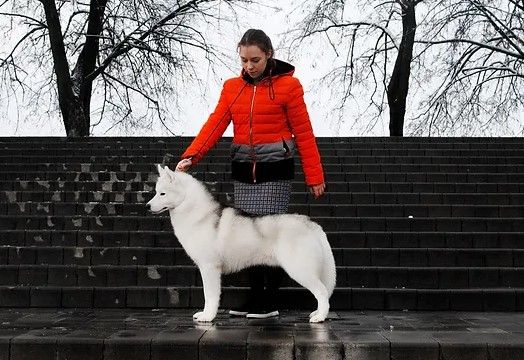 Photo of Icily’s Alpine White