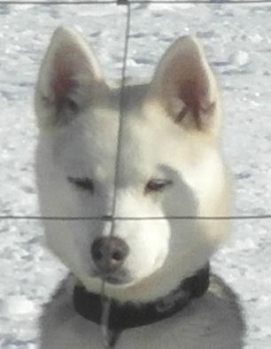 Photo of Arktisk Storm Molly