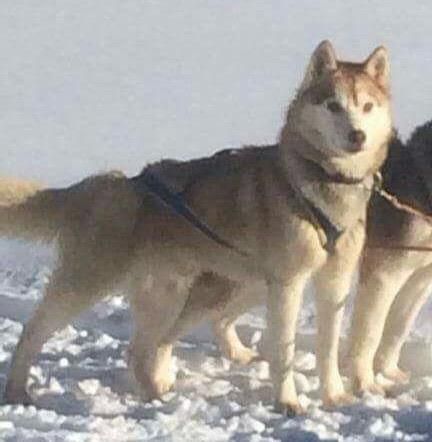 Photo of Winalmik's Next Generation