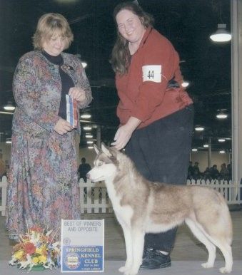 Photo of Innisfree Nuala Anne McGrail