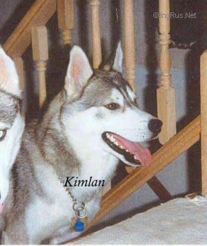 Photo of Kimlan’s Kodi