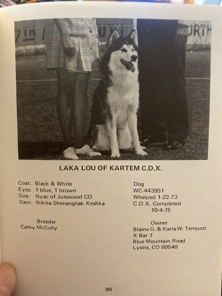 Photo of Laka Lou Of Kartem