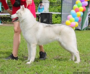 Photo of Siberian Trip Key To My Heart