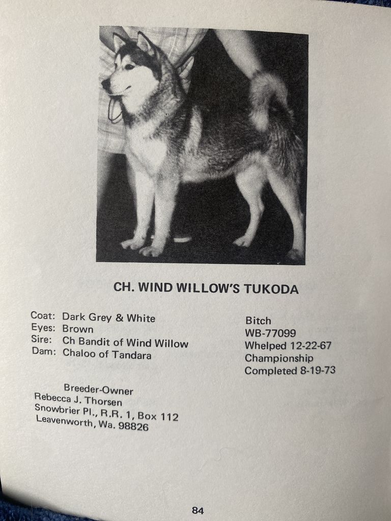 Photo of Wind Willow’s Tukoda