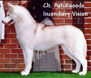 Photo of Aatukwoods Incendiary Vision