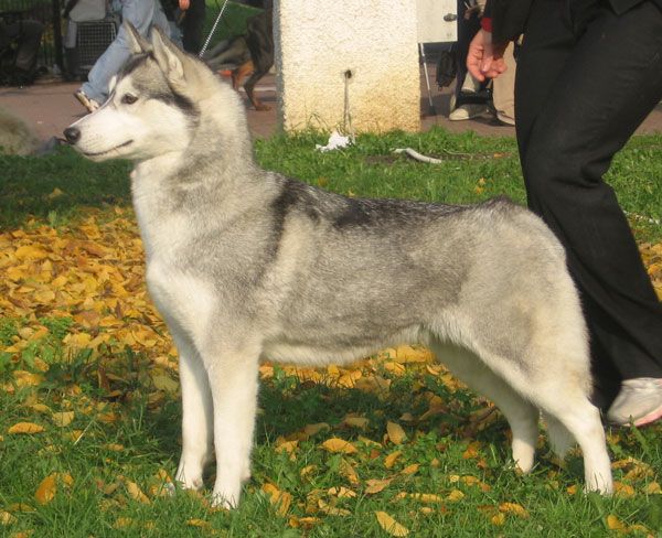 Photo of Winalmik’s Pretty Woman