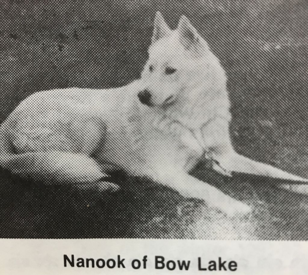 Photo of Nanook Of Bow Lake