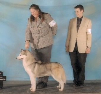 Photo of Innisfree Court Appearance