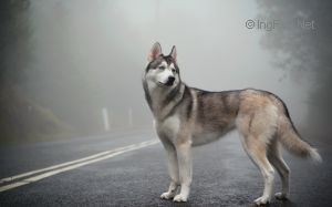 Photo of Nora