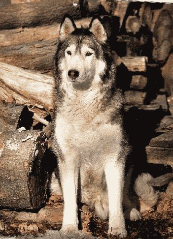 Photo of Innisfree’s Keeley Walker