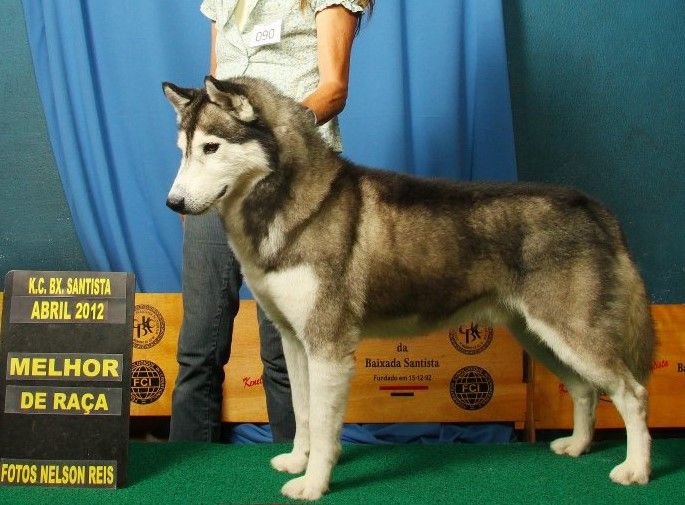 Photo of Vega Star’s Danyan