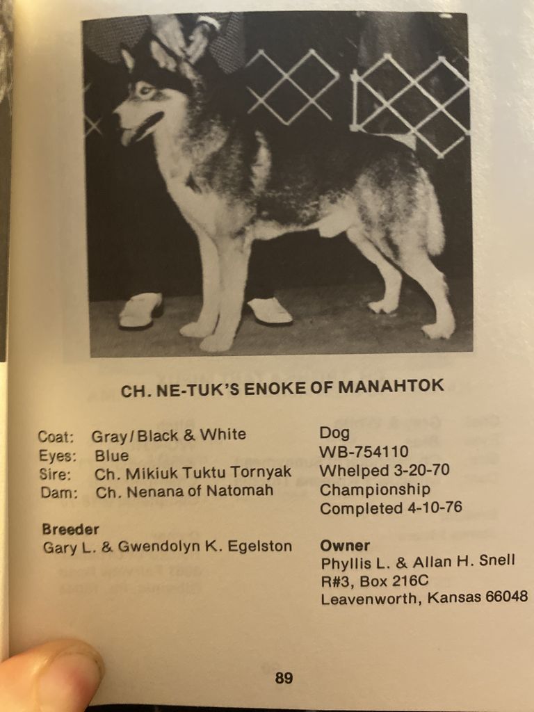 Photo of Ne-Tuk’s Enoke of Manahtok