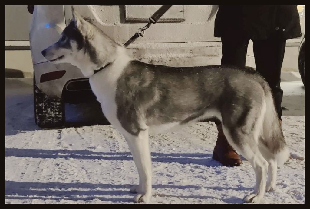 Photo of Fen-Dweller Call of Korriban
