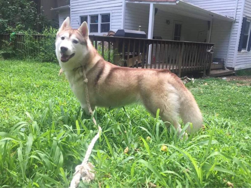 Photo of Myers’ Forever Shall She Reign