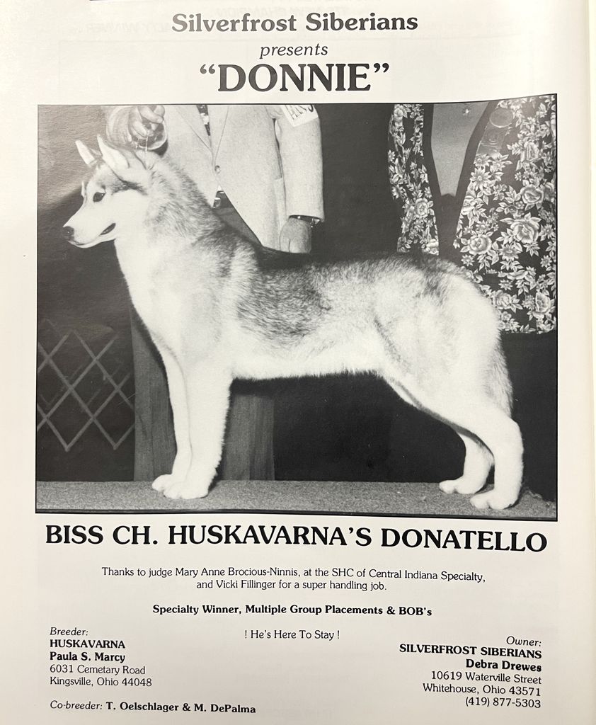 Photo of Huskavarna’s Donatello