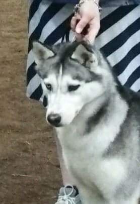 Photo of Rys N Hy Lunar Star
