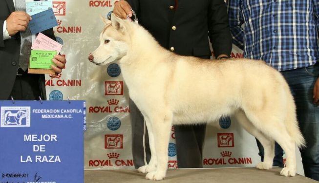 Photo of Snowind Burbuja (Aguilar)