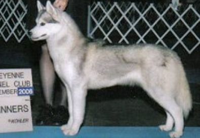 Photo of Whisper Of The Midnight Sun