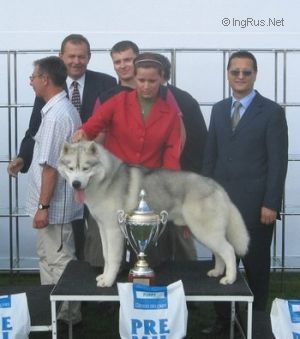 Photo of Gamekeeper Of Siberian Lady