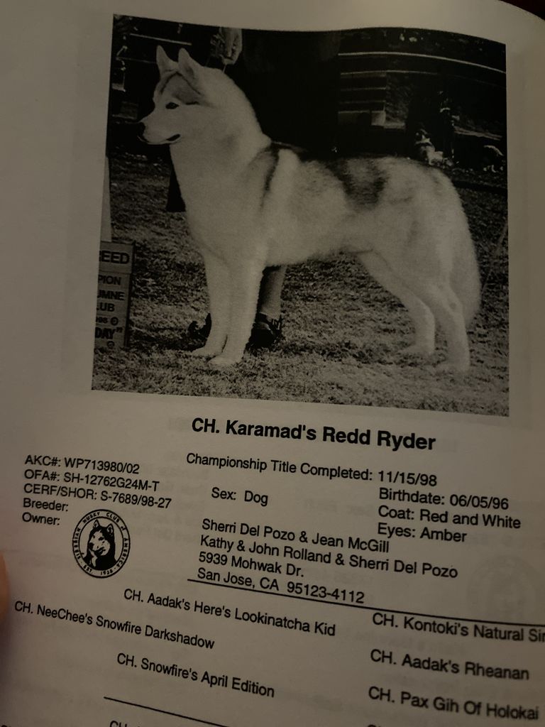 Photo of Karamad’s Redd Ryder