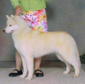 Photo of Aurorabalto’s Ring Round Rosie