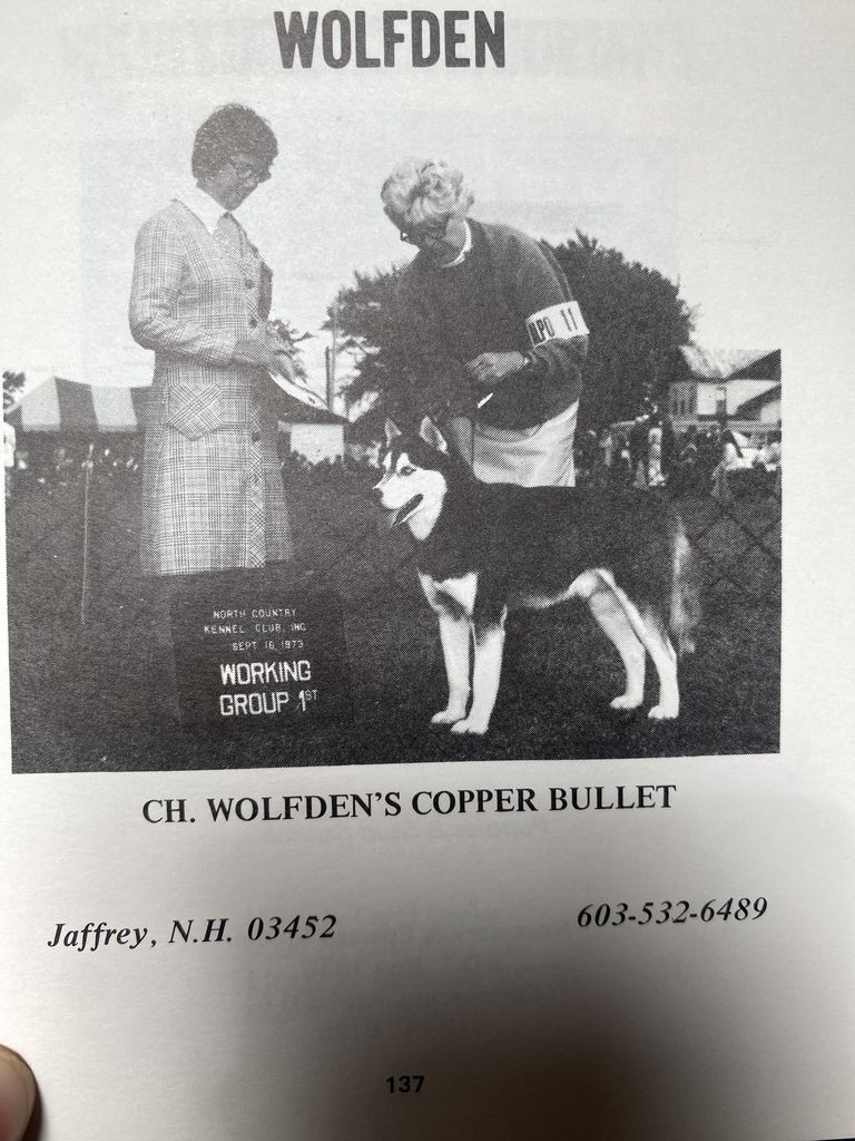 Photo of Wolfden’s Copper Bullet