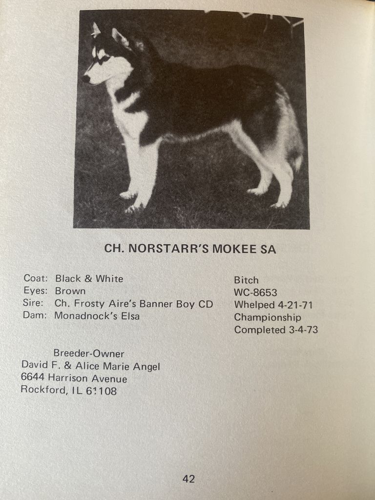 Photo of Norstarr’s Mokee Sa