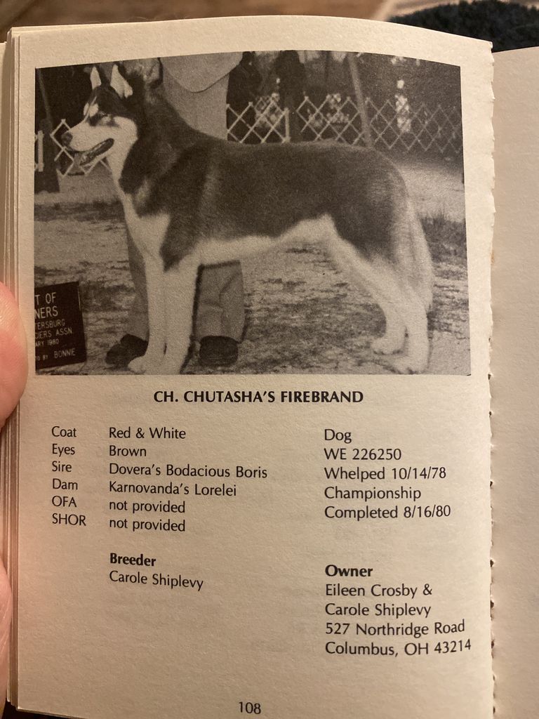 Photo of Chutasha’s Firebrand