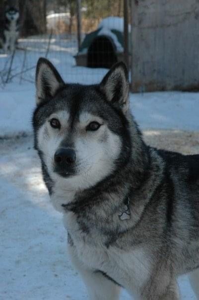 Photo of Sergei’s Zelda Jakovna