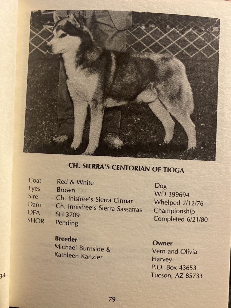 Photo of Sierra’s Centorian of Tioga