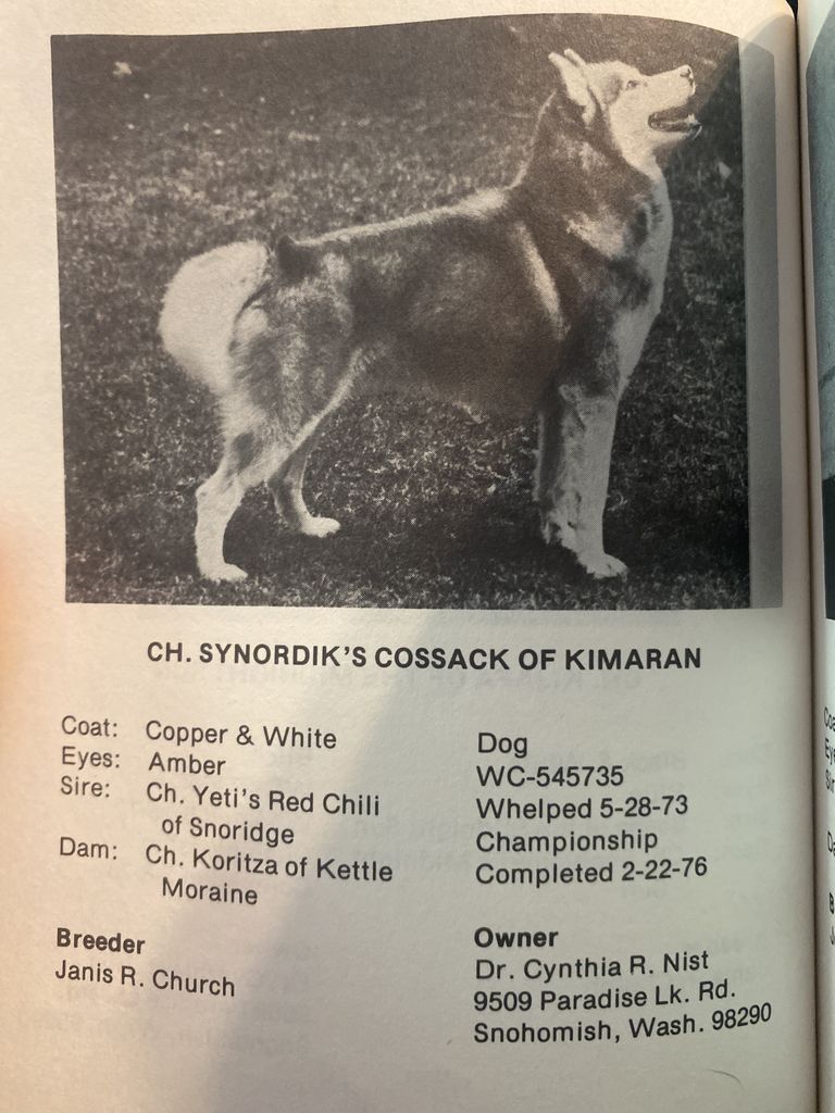 Photo of Synordik’s Cossack Of Kimaran
