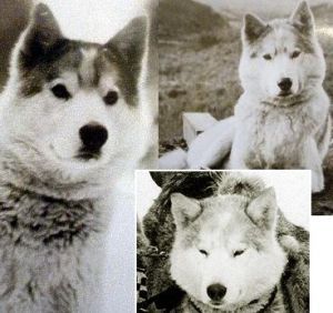 Photo of Fritz