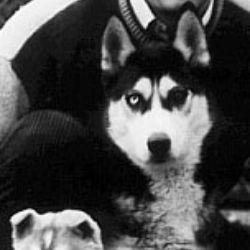 Photo of Ulita Of Shiboj