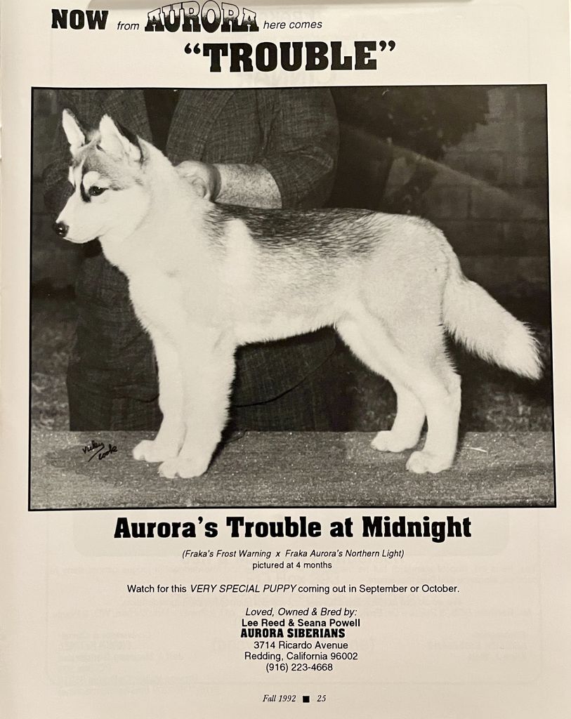 Photo of Aurora’s Trouble At Midnight