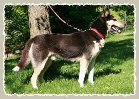 Photo of Alka-Shan’s Pokahontas