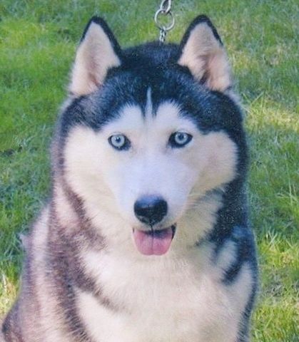 Photo of Kunuk’s Arctic Wind Dancer