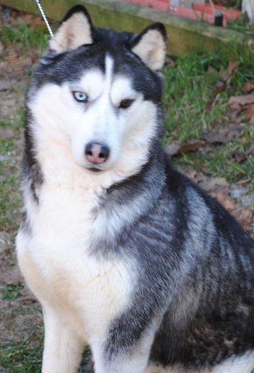Photo of Casey’s Kahlua