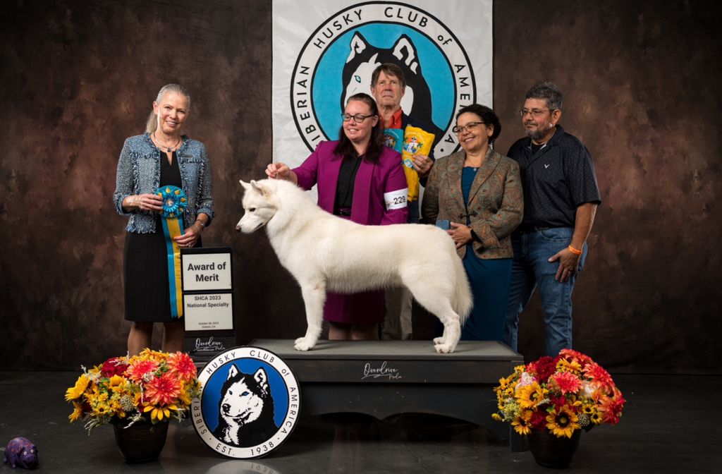 Photo of Bueno Pardo Expressed Olaf