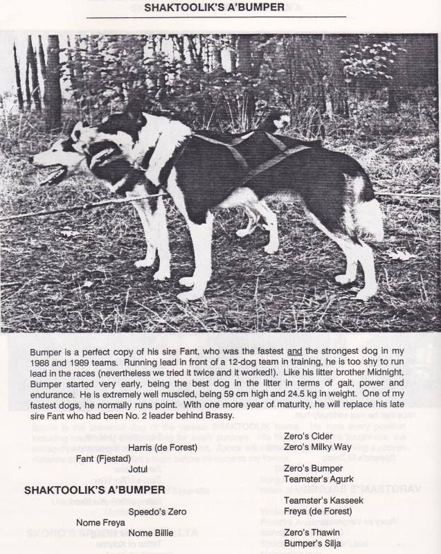 Photo of Shaktoolik’s A’Bumper