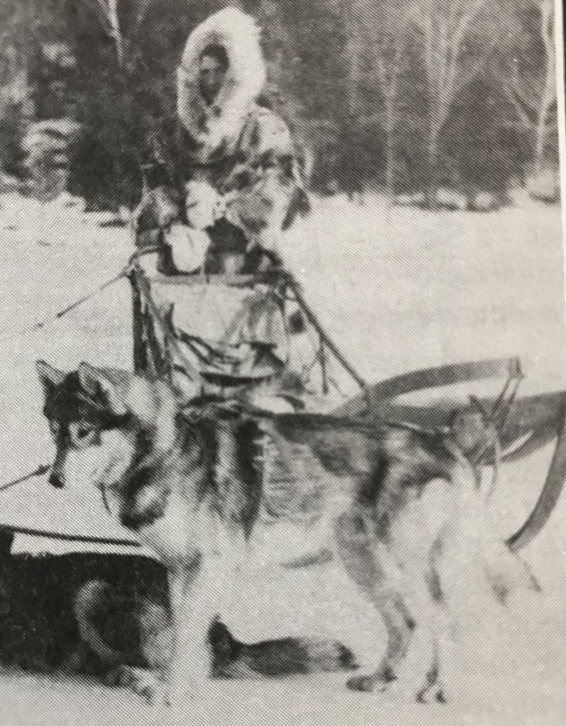 Photo of Suggen