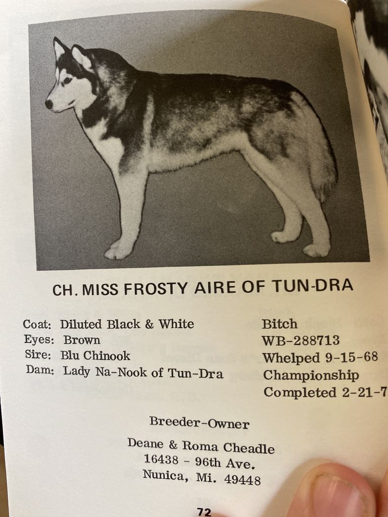 Photo of Miss Frosty Aire of Tun-Dra