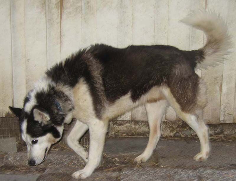 Photo of Blackjack’s Jericho Of Jedeye
