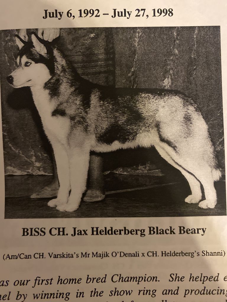 Photo of Jax Helderberg Black Beary