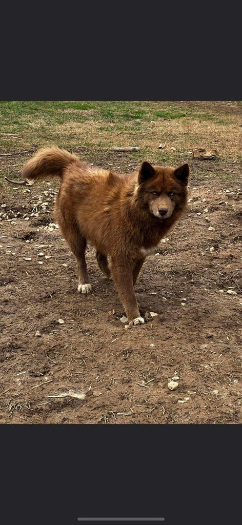 Photo of Mylo Akaashi
