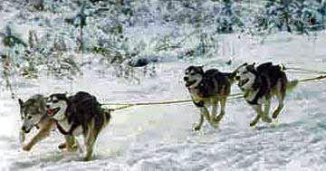 Photo of Snoshoes Russky Of Forstal