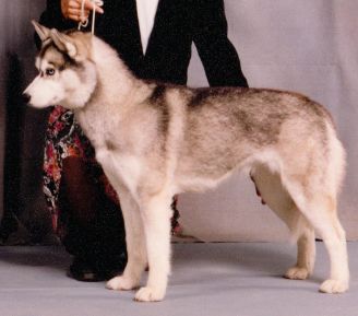 Photo of Debalys Regal Reba McEntire
