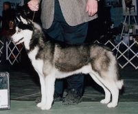 Photo of Karnovanda’s Victor Bearge