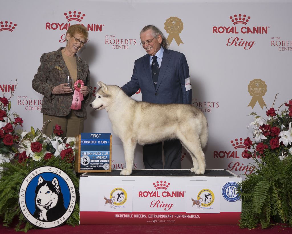 Photo of Icewind’s Arwen At Sibernewf
